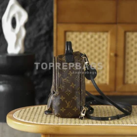 i1762247981713_9525_0_1 Louis Vuitton Palm Springs Mini in Brown