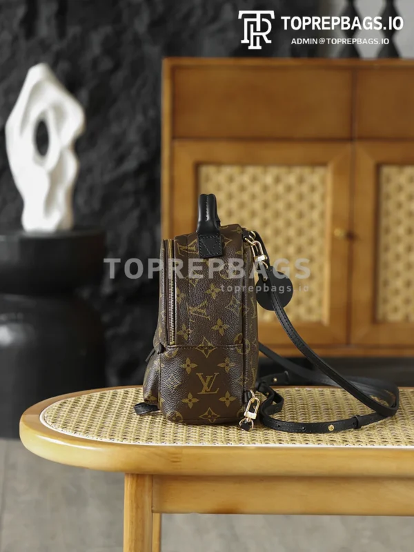 i1762247981713_9525_0_1 Louis Vuitton Palm Springs Mini in Brown