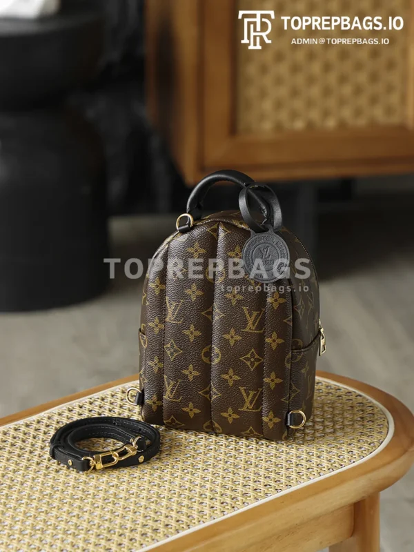 i1762247982736_434_0_9 Louis Vuitton Palm Springs Mini in Brown