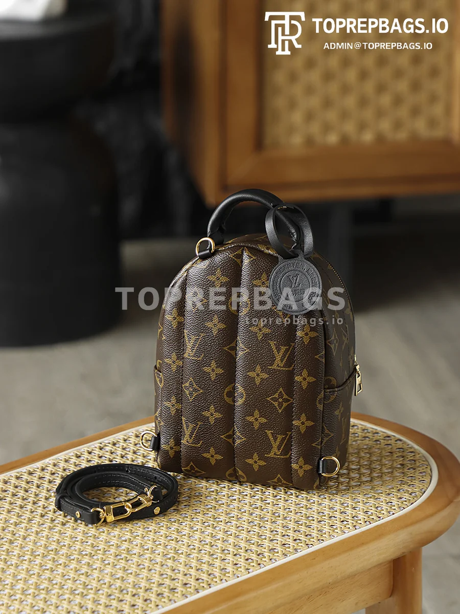 i1762247982736_434_0_9 Louis Vuitton Palm Springs Mini in Brown