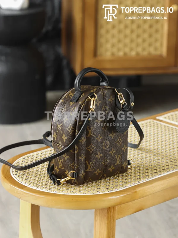 i1762247982753_7316_0_5 Louis Vuitton Palm Springs Mini in Brown