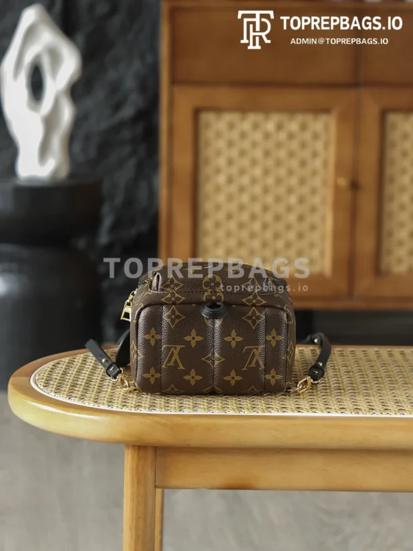 i1762247982803_7350_0_3 Louis Vuitton Palm Springs Mini in Brown