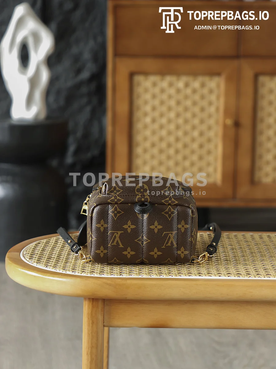 i1762247982803_7350_0_3 Louis Vuitton Palm Springs Mini in Brown