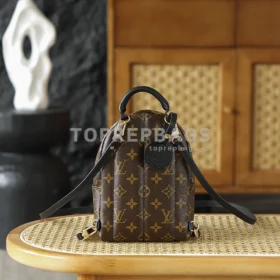 Louis Vuitton Palm Springs Mini in Brown
