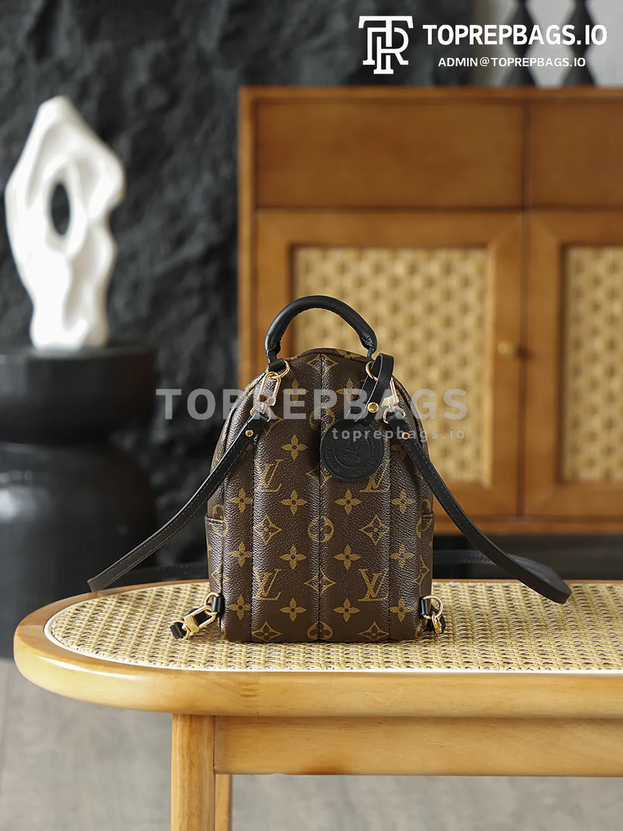 i1762247982807_5078_0_2 Louis Vuitton Palm Springs Mini in Brown