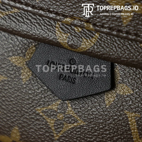 i1762248053906_67_0_0 Louis Vuitton Palm Springs Mini in Brown