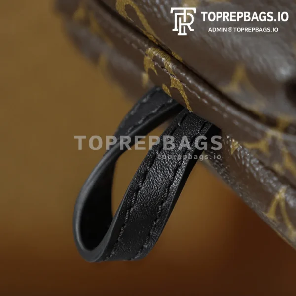 i1762248054559_5176_0_3 Louis Vuitton Palm Springs Mini in Brown