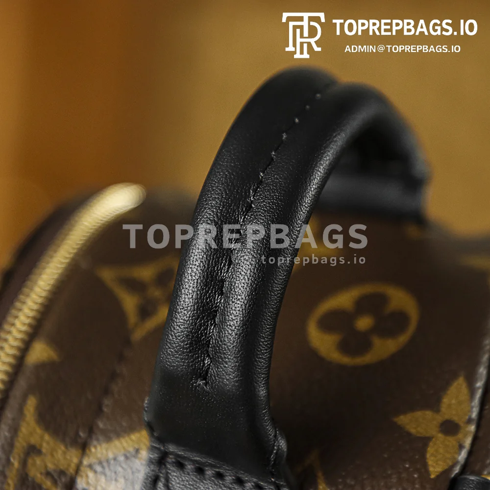 i1762248054725_7306_0_2 Louis Vuitton Palm Springs Mini in Brown