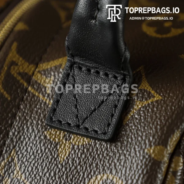 i1762248054744_8387_0_1 Louis Vuitton Palm Springs Mini in Brown
