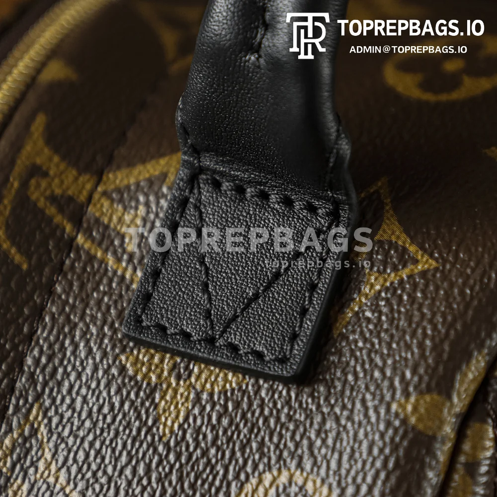 i1762248054744_8387_0_1 Louis Vuitton Palm Springs Mini in Brown