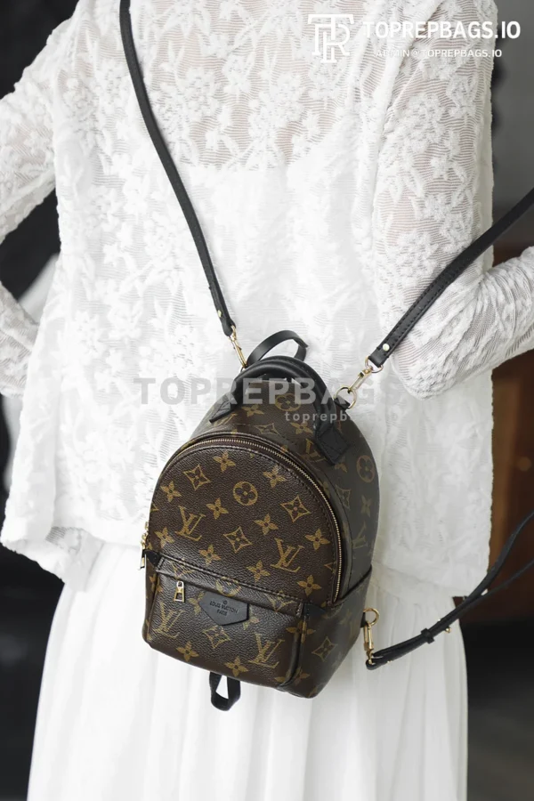 i1762248111381_8600_0_1 Louis Vuitton Palm Springs Mini in Brown