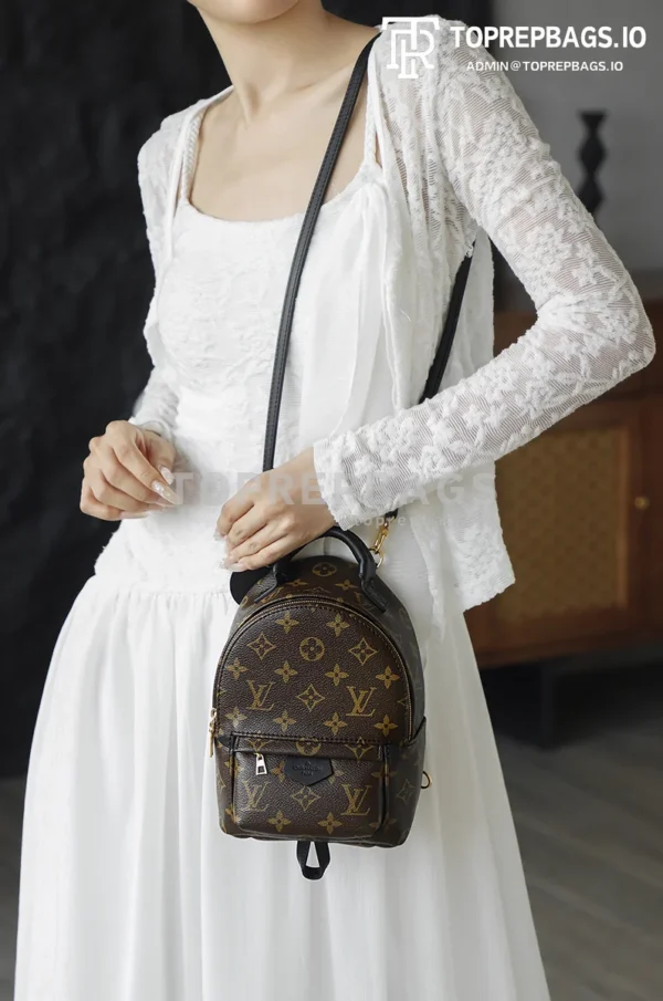 i1762248111407_7405_0_6 Louis Vuitton Palm Springs Mini in Brown