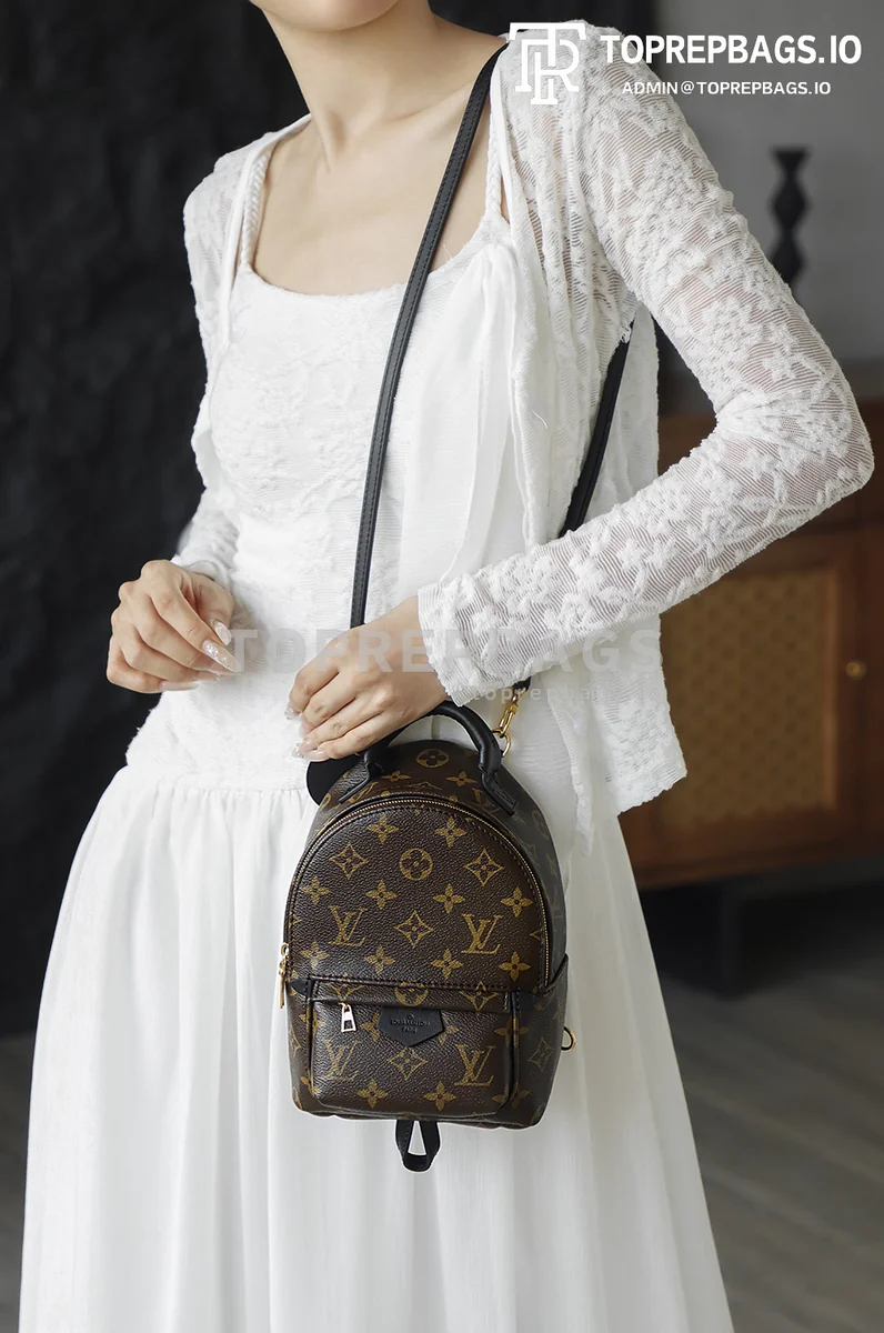 i1762248111407_7405_0_6 Louis Vuitton Palm Springs Mini in Brown