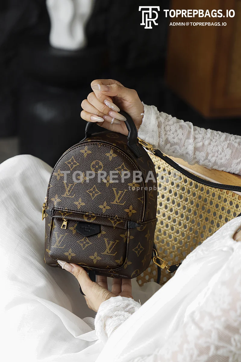 i1762248112359_7546_0_7 Louis Vuitton Palm Springs Mini in Brown