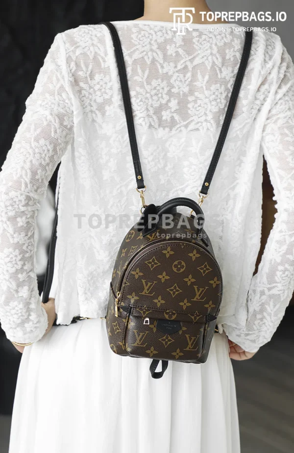i1762248112373_7741_0_0 Louis Vuitton Palm Springs Mini in Brown