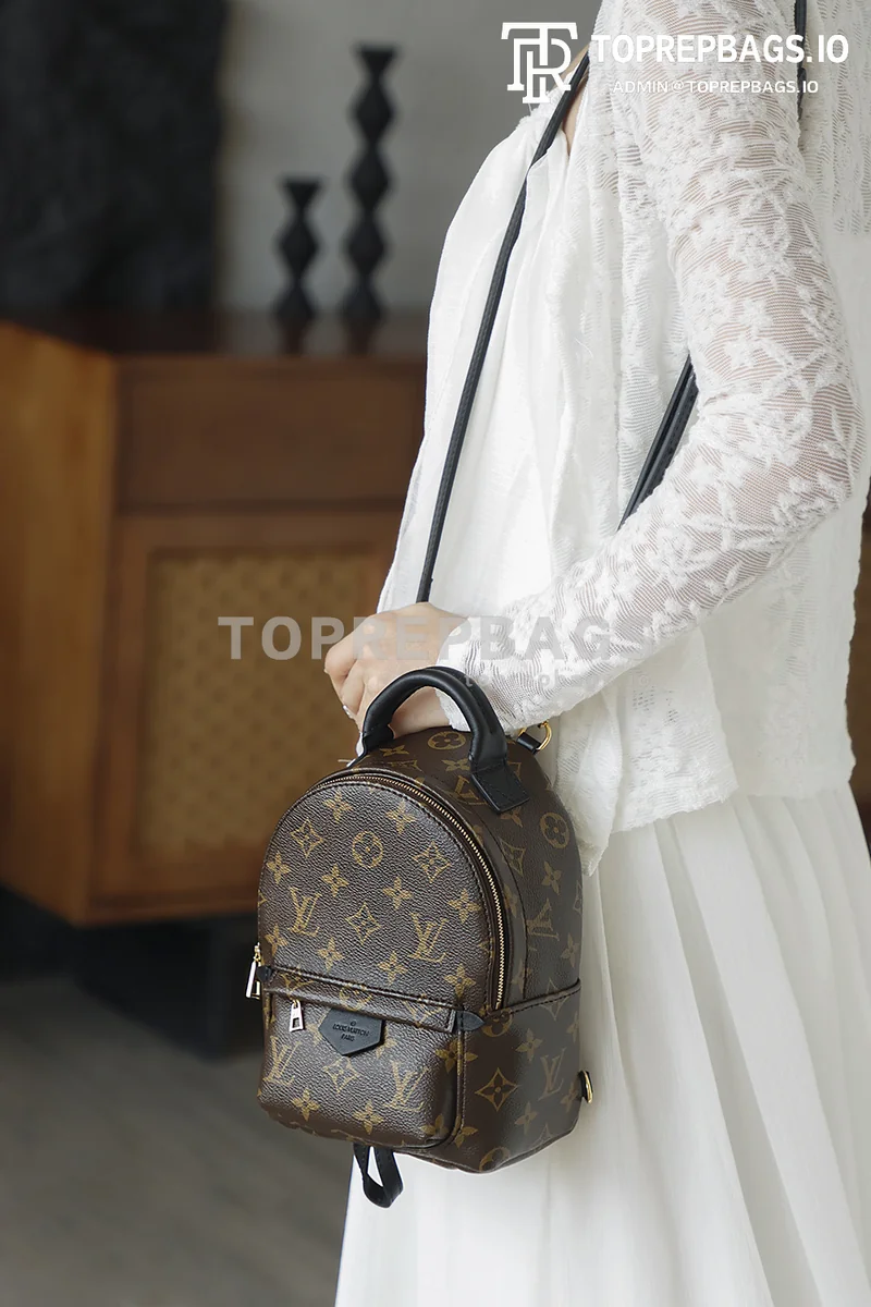 i1762248112385_191_0_5 Louis Vuitton Palm Springs Mini in Brown