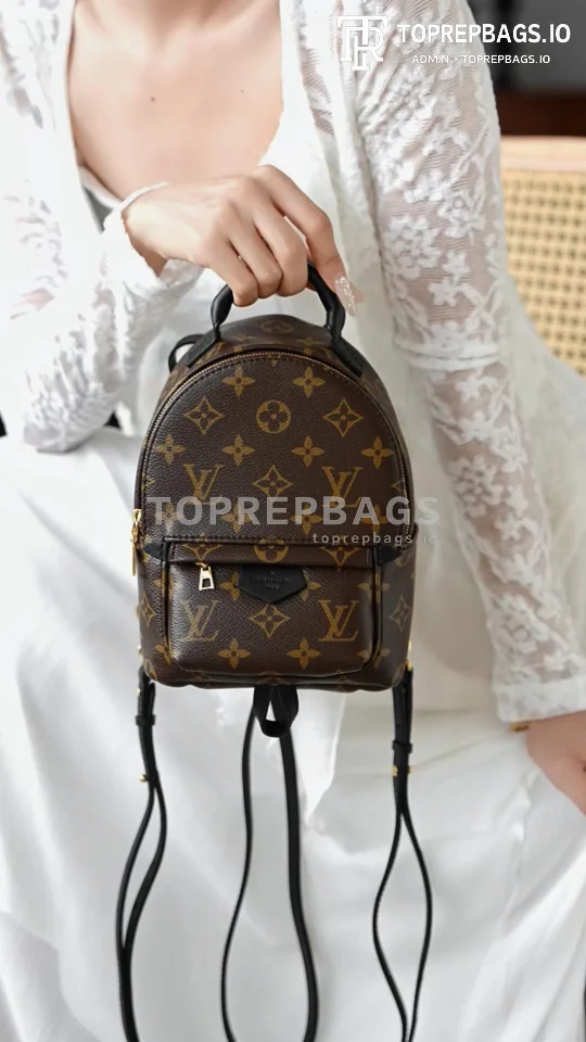 i1762248169377_6127_0_0 Louis Vuitton Palm Springs Mini in Brown