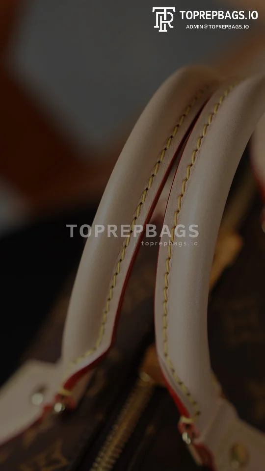 i1763533943189_5628_0_0 Louis Vuitton Speedy in Brown