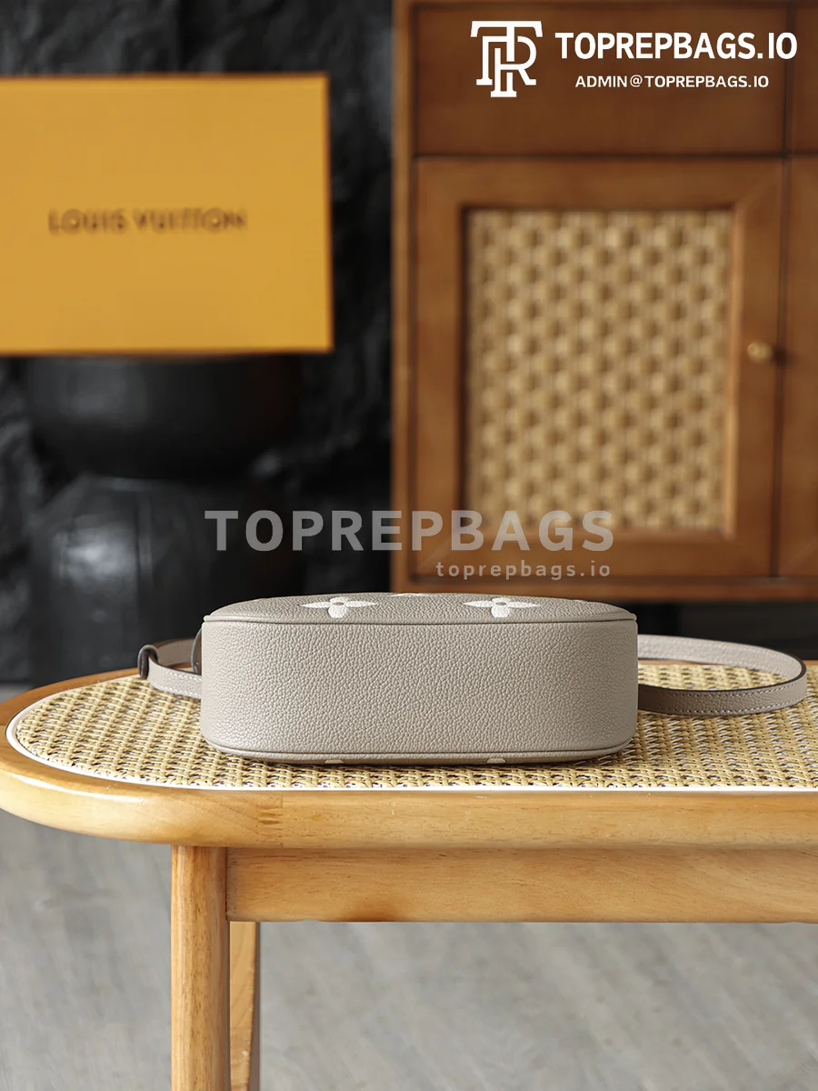 i1764665724841_3075_0_3 Louis Vuitton Bagatelle Hobo in Grey