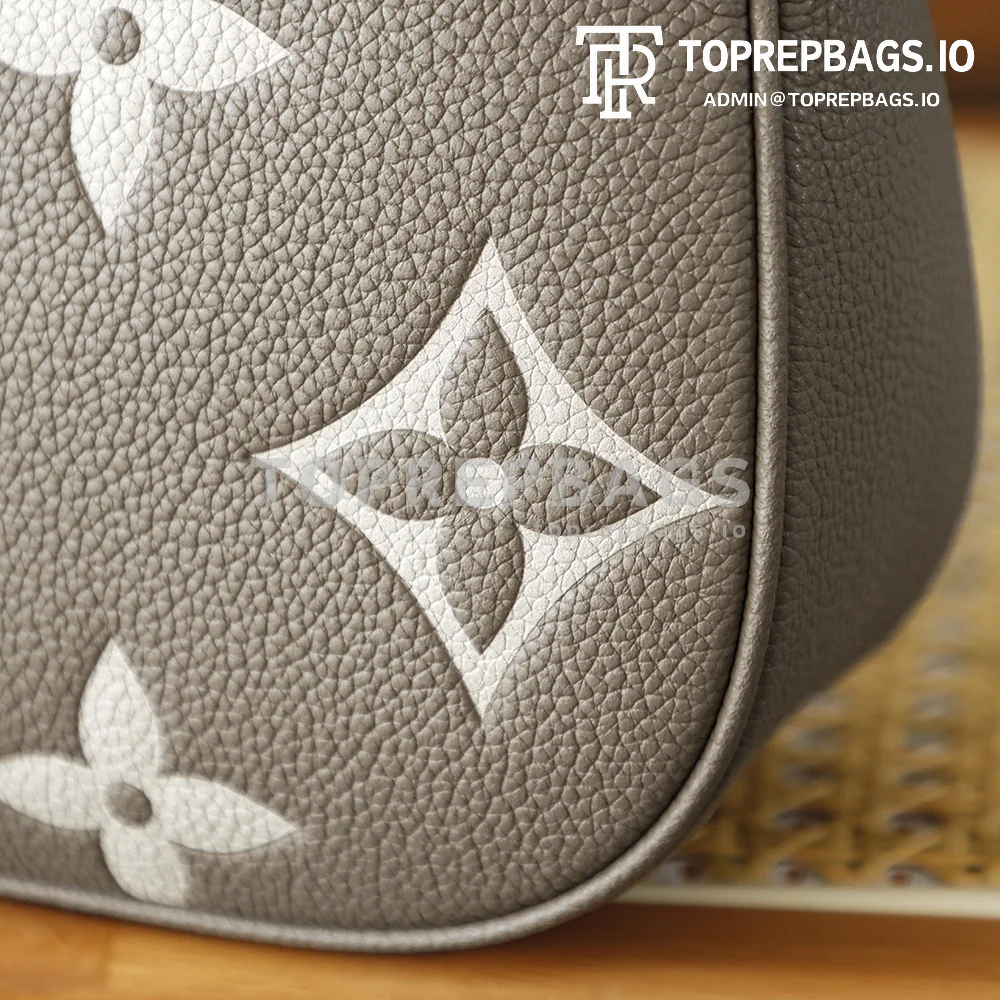 i1764665779976_9626_0_7 Louis Vuitton Bagatelle Hobo in Grey