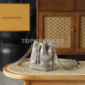Louis Vuitton Nano Noe Bucket in Grey