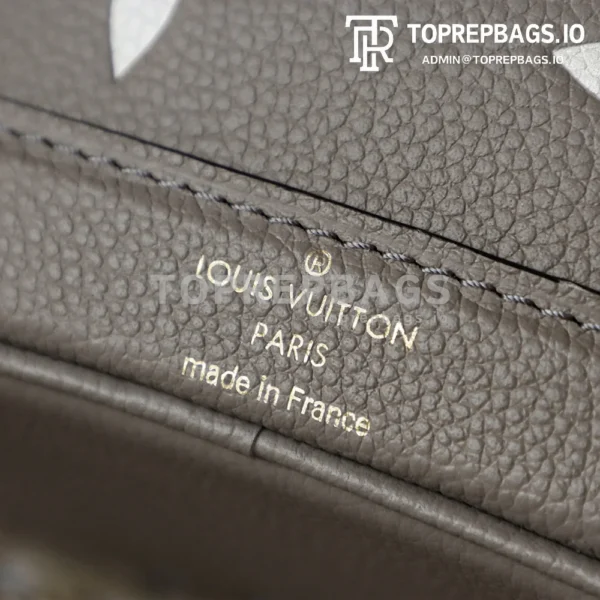 i1764827964493_3074_0_9 Louis Vuitton Nano Noe Bucket in Grey