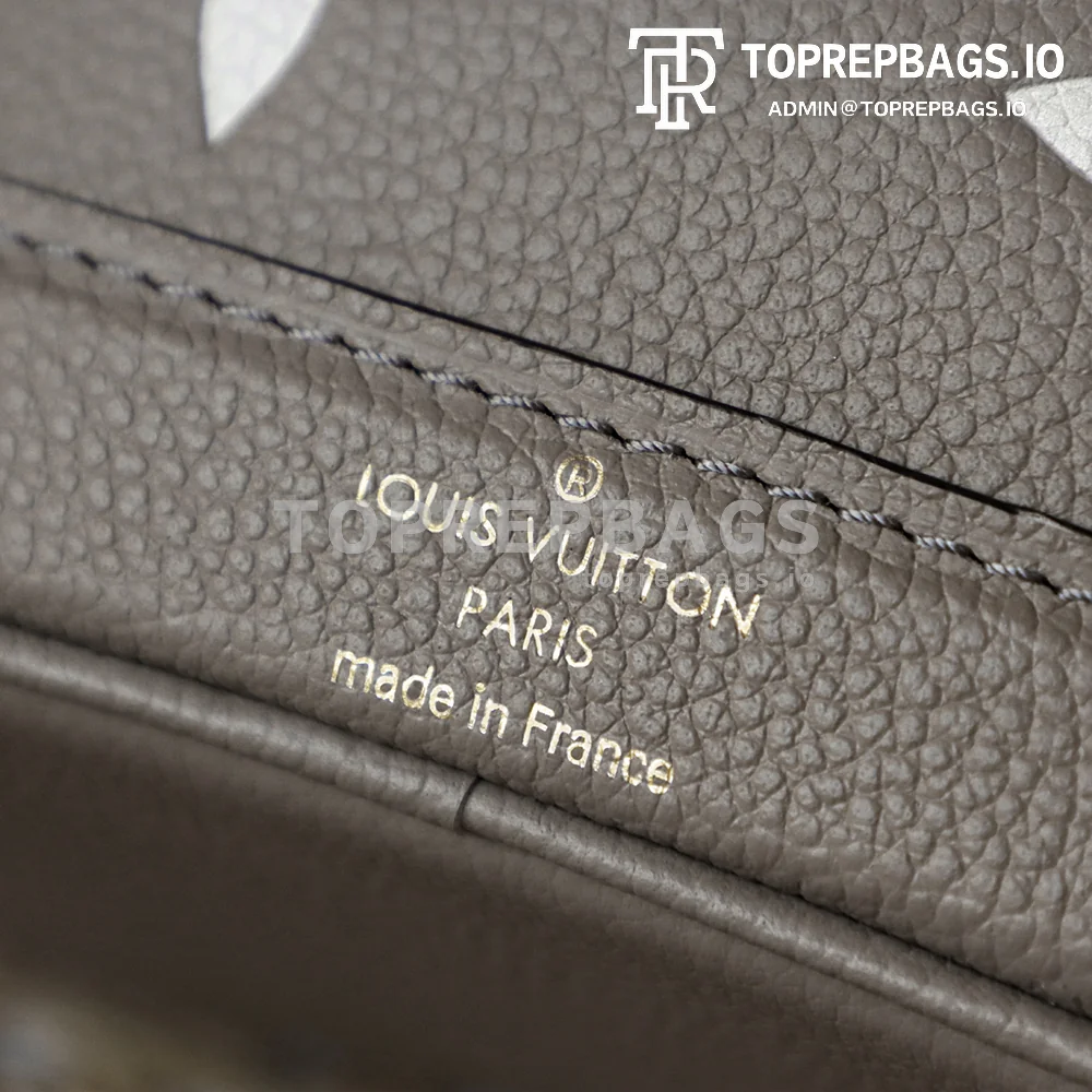 i1764827964493_3074_0_9 Louis Vuitton Nano Noe Bucket in Grey