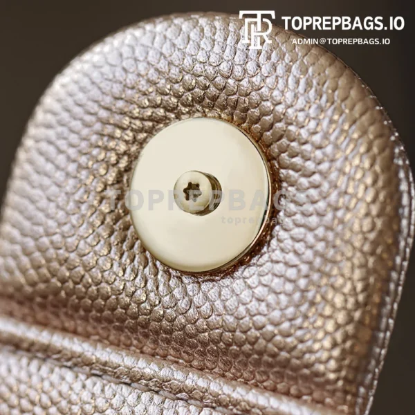 i1768558389483_9742_0_5 Chanel 25 Bag Mini in Pink