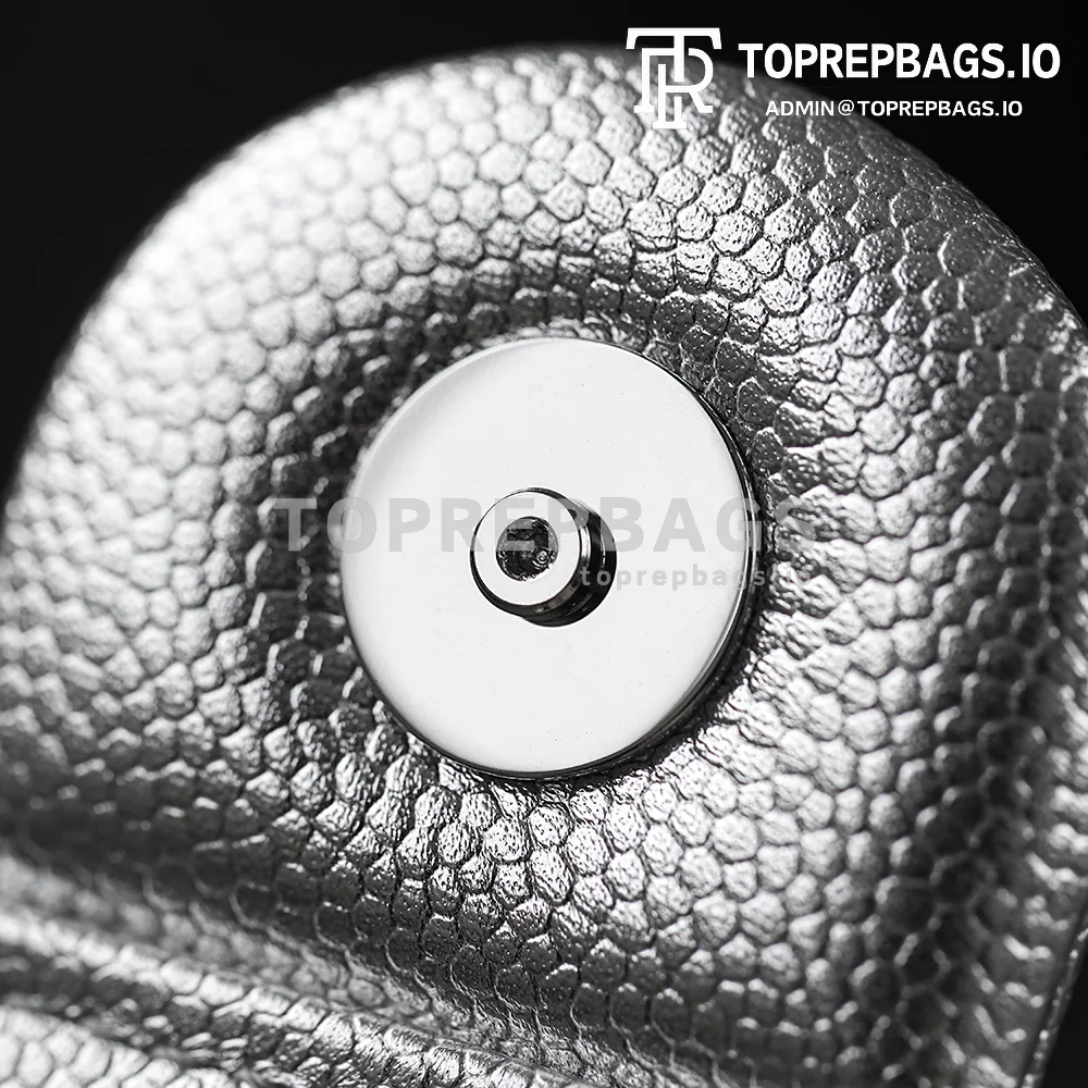 i1769168937640_4668_0_3 Chanel 25 Bag Mini Lambskin Leather Silver-tone Hardware detailed product image