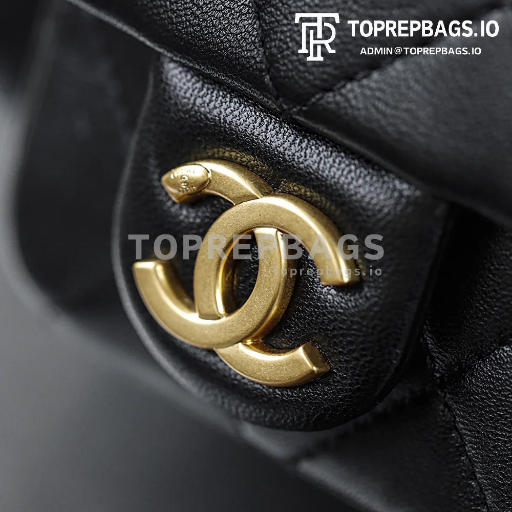 i1769754693706_650_0_1 Chanel 25 Hobo Small in Black