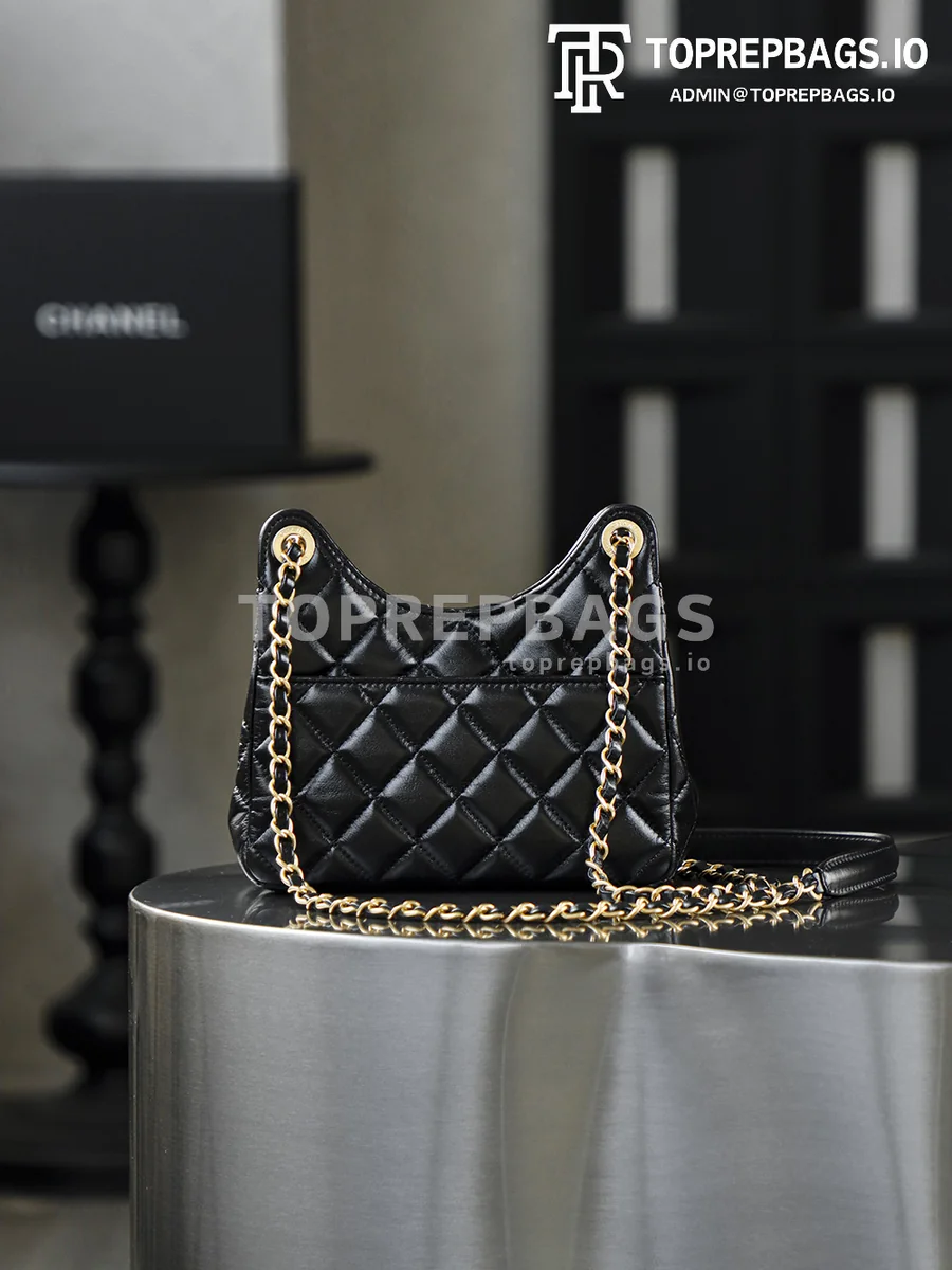 i1770544101626_4638_0_3 Chanel 25 Hobo Small in Black