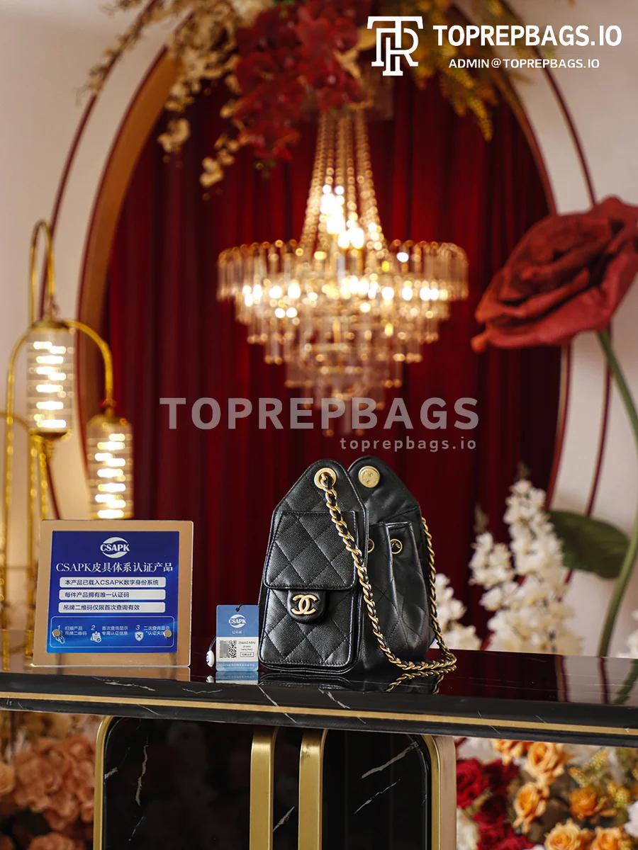 i1773647866017_2631_0_5 Chanel 25 Bag Mini in Black