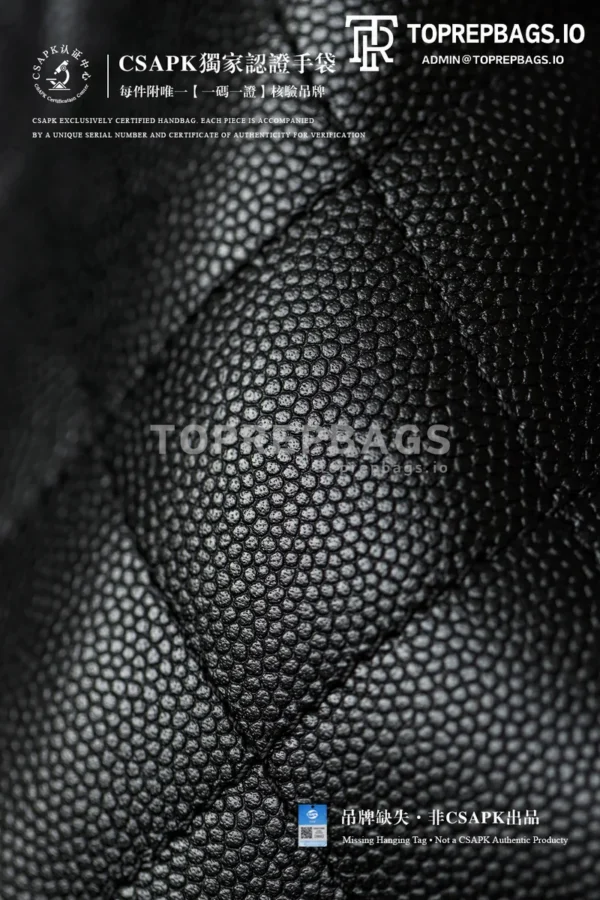 i1773651377581_1_0_5 Chanel 25 Bag Mini in Black