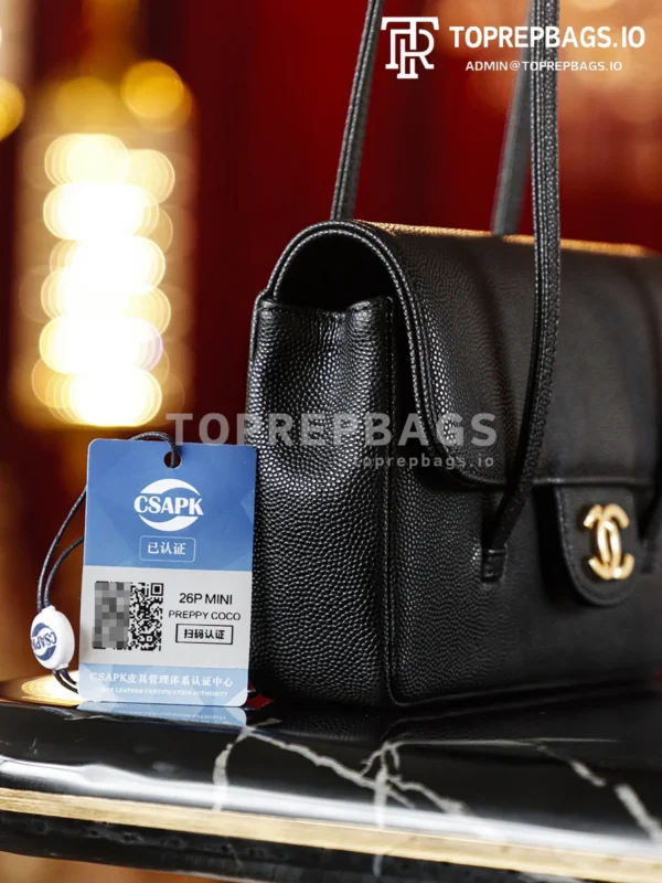 i1774247973292_3614_0_7 Chanel Preppy Coco Mini in Black