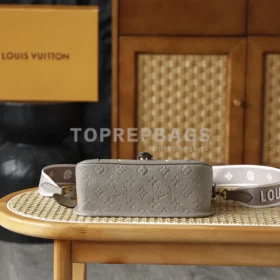 Louis Vuitton Diane in Taupe