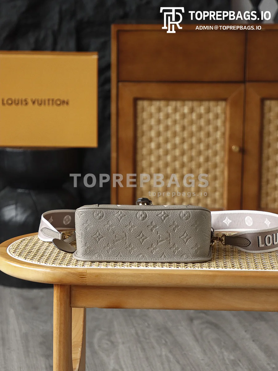 i1775627071347_9785_0_5 Louis Vuitton Diane in Taupe