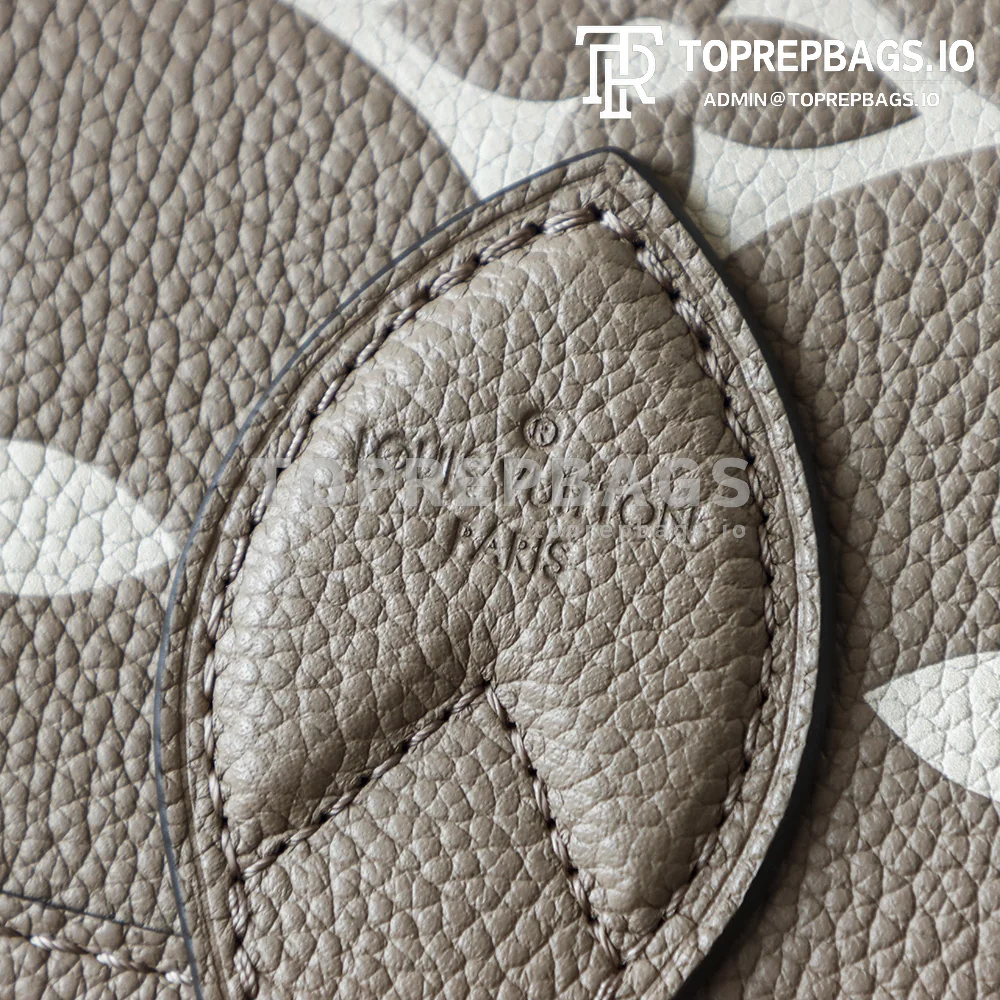 i1775627234139_9327_0_10 Louis Vuitton Diane in Taupe