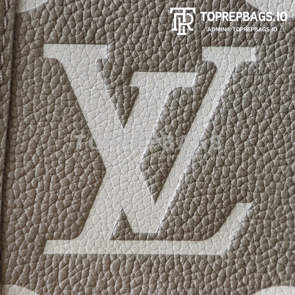i1775627234880_2303_0_3 Louis Vuitton Diane in Taupe