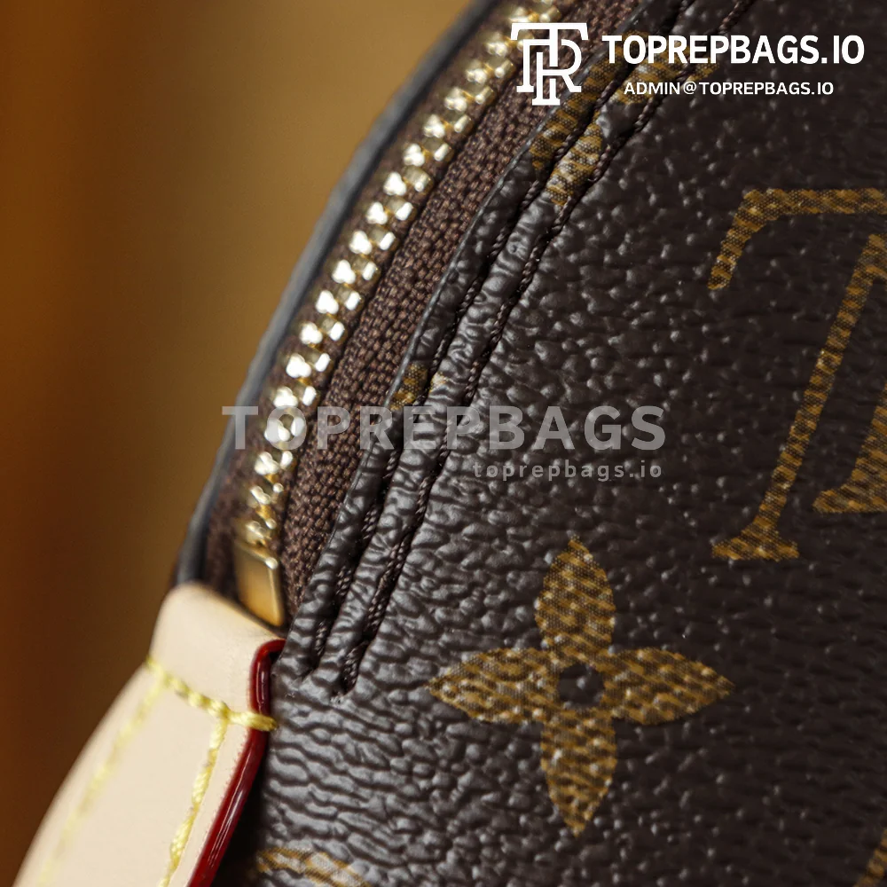 i1775806249657_7836_0_2 Louis Vuitton Alma Hobo in Brown