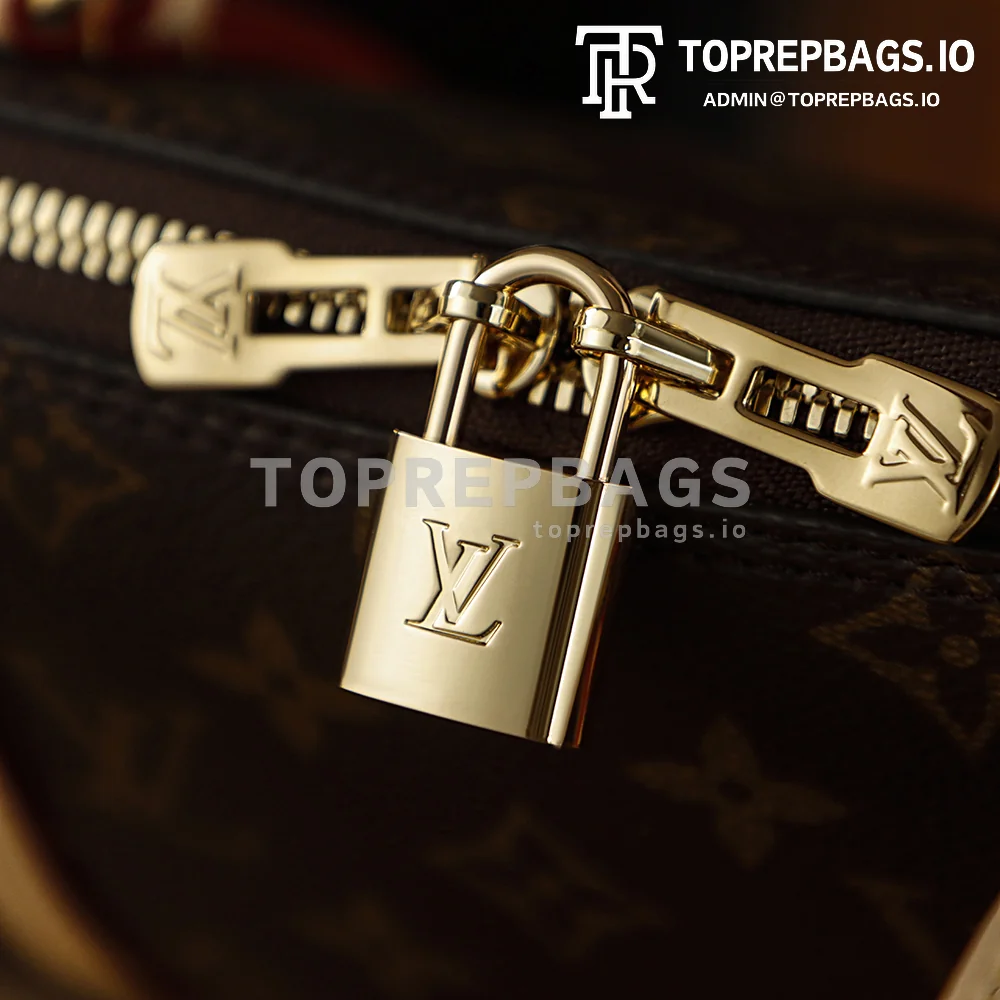 i1775806250519_8757_0_3 Louis Vuitton Alma Hobo in Brown