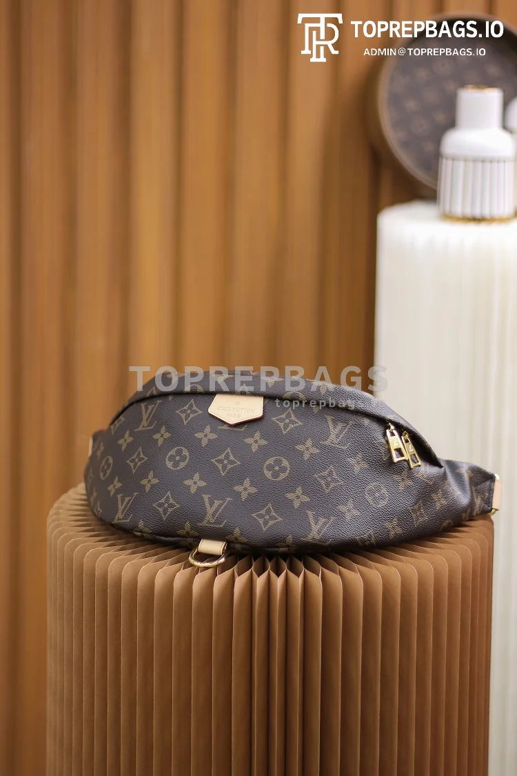 a1611137661935_8853 Louis Vuitton Bumbag in Brown