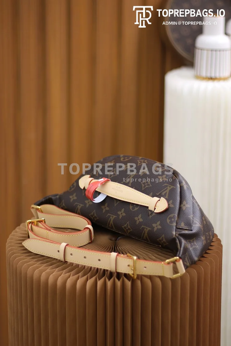 a1611137662008_7804 Louis Vuitton Bumbag in Brown