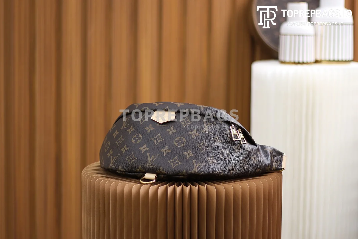 a1611137662348_2255 Louis Vuitton Bumbag in Brown