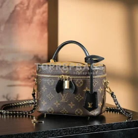 Louis Vuitton Vanity PM in Brown