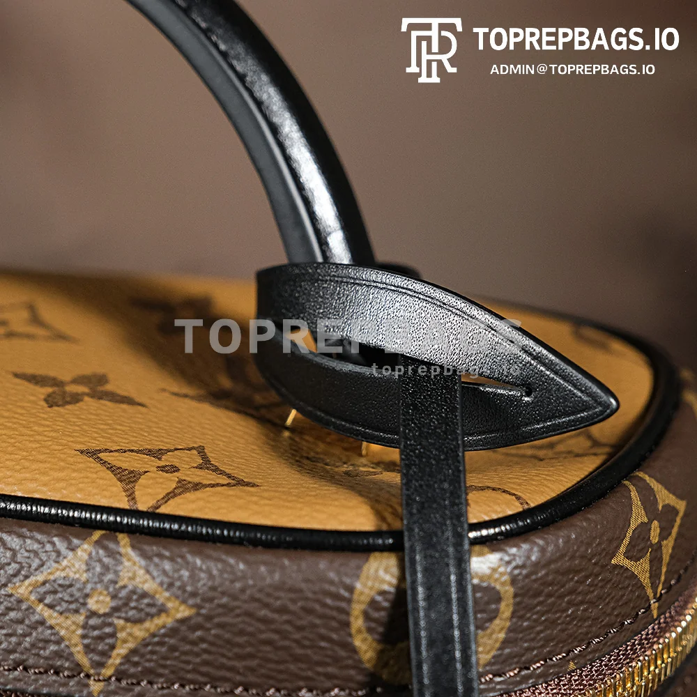 a1721050788324_1746 Louis Vuitton Vanity PM in Brown