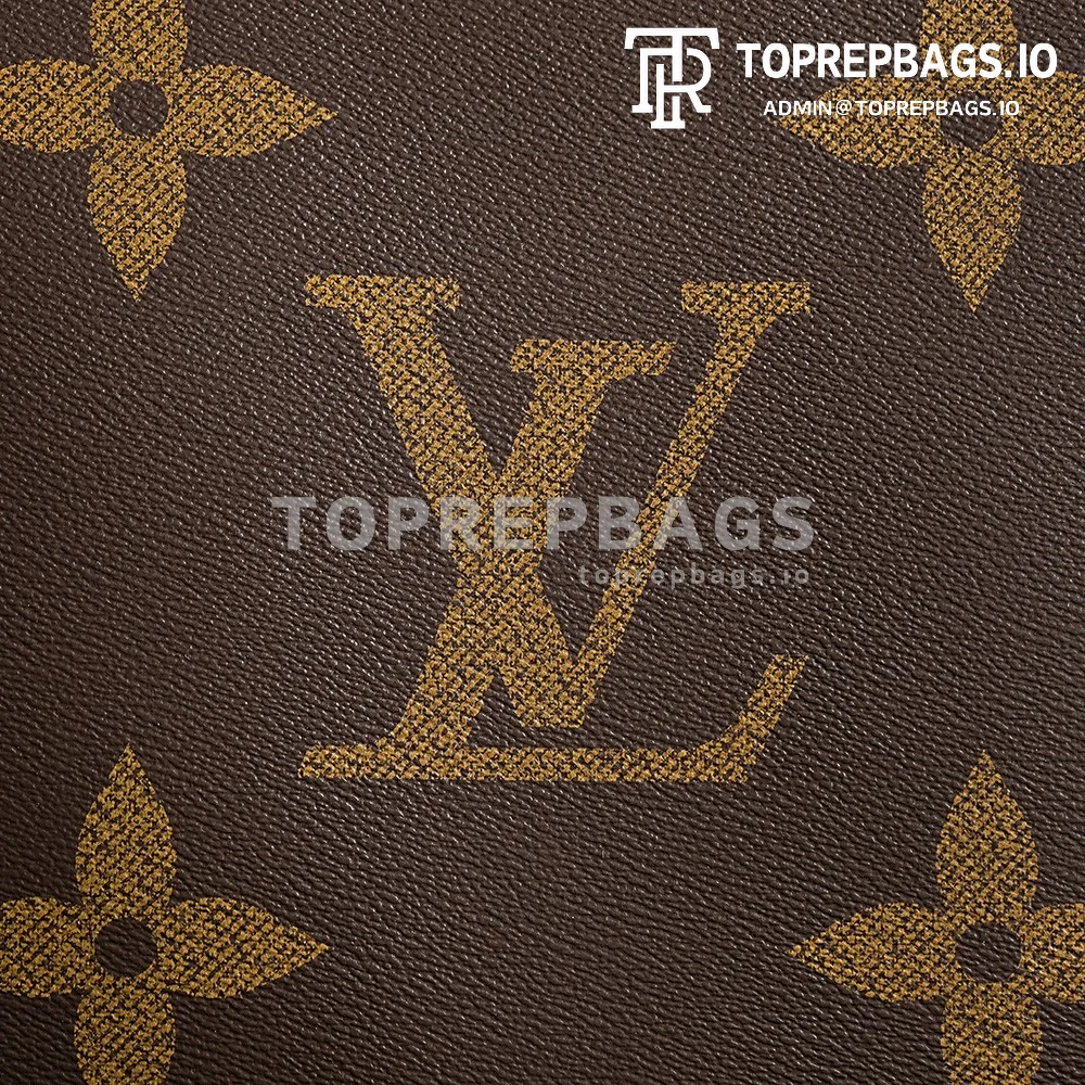 a1730617230656_3412 Louis Vuitton Onthego GM in Brown