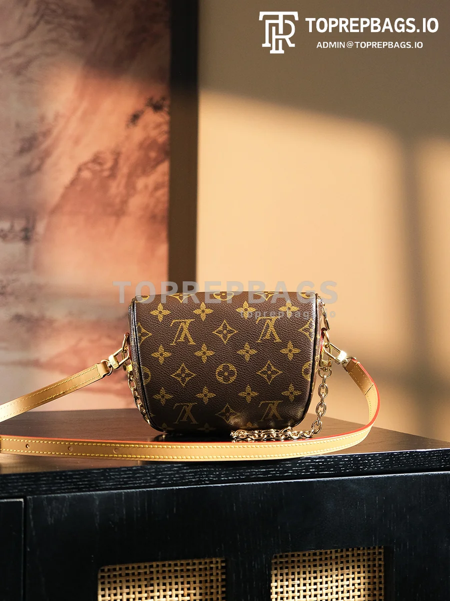a1731153188087_4740 Louis Vuitton Mini Bumbag in Brown