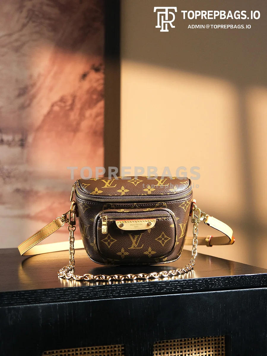 a1731153188088_2101 Louis Vuitton Mini Bumbag in Brown