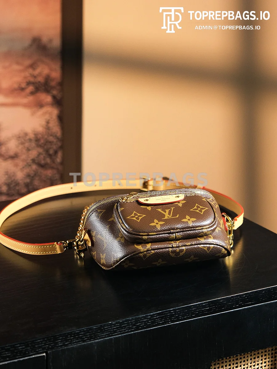 a1731153190343_4281 Louis Vuitton Mini Bumbag in Brown