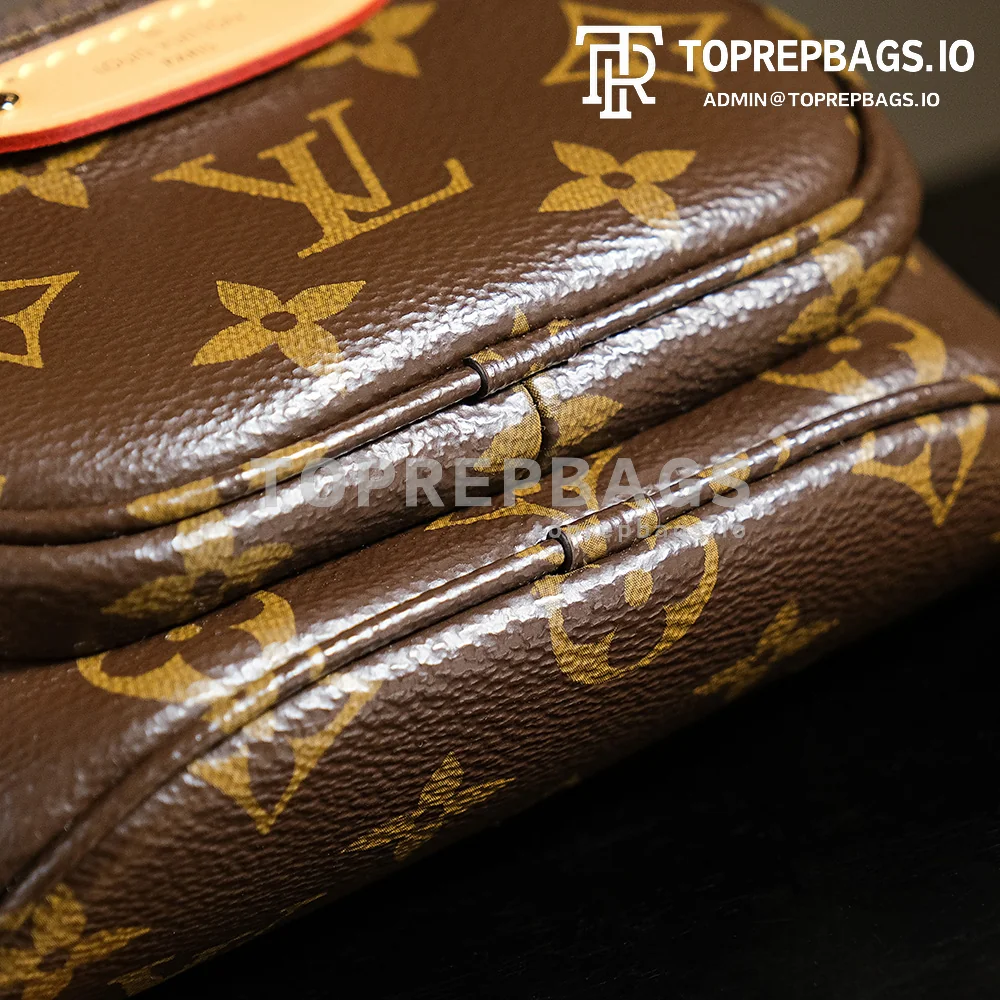 a1731153249686_3486 Louis Vuitton Mini Bumbag in Brown